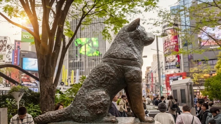 Who Was Hachikō? The True Story of Japan's Most Loyal Dog